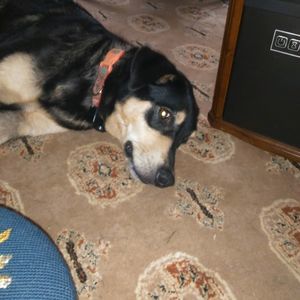 Meet your Posher, Jen